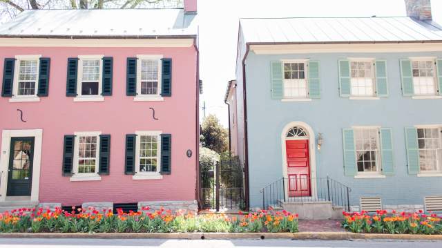Top 7 Things To Do This Spring in Lexington, Kentucky