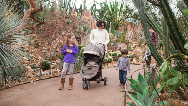 A family walking through the Mitchell Park Domes admiring the flora.