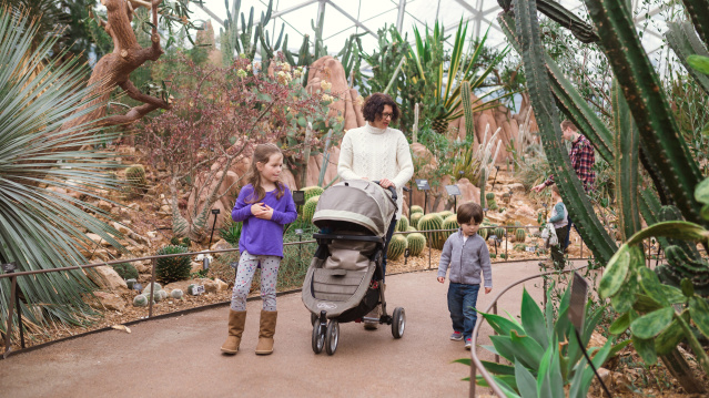 A family walking through the Mitchell Park Domes admiring the flora.