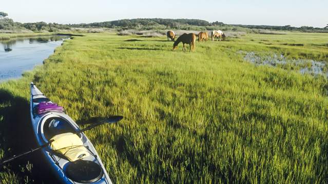 Kayak along Assateague Island