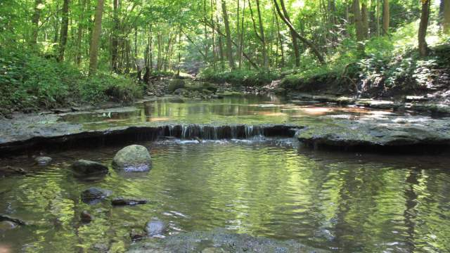 Hoover Forest Preserve in Yorkville, Illinois