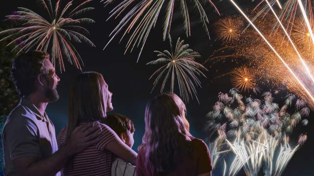 A family watching a fireworks show over Orlando.