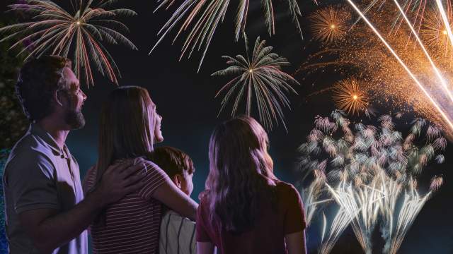 A family watching a fireworks show over Orlando.