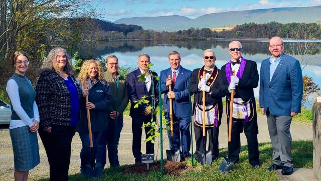 Snyder County Liberty Tree