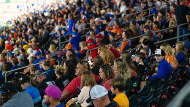 Ballpark Crowd