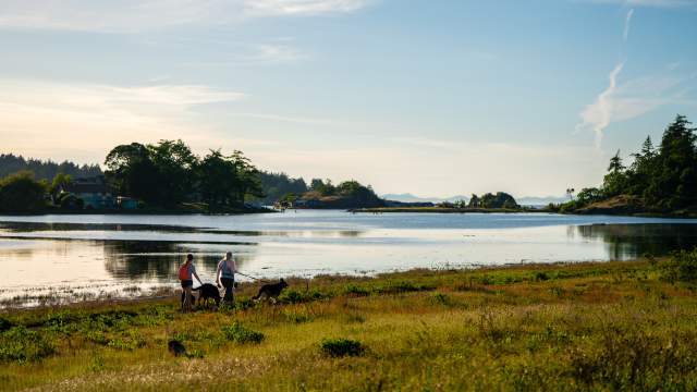 Two people walk their dogs along the shoreline at Pipers Lagoon during sunset with calm water and small islands in the distance.