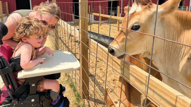 Small Child in Wheelchair enjoying animals at the Critter Barn