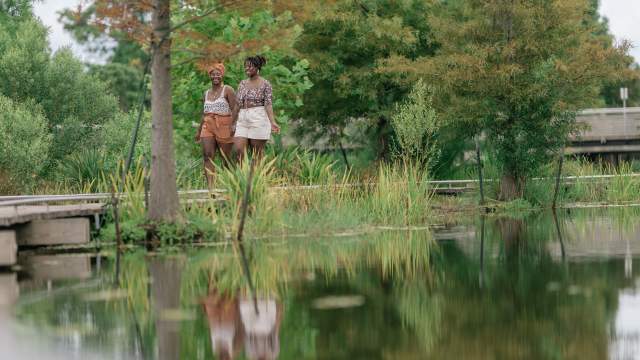 Exploring the Besthoff Sculpture Garden