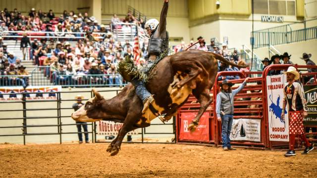 Rodeo