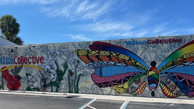 Wilton Collective Butterfly Mural