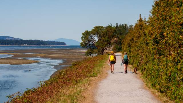 Two people with backpacks walk a dog along a coastal dirt path beside the ocean.