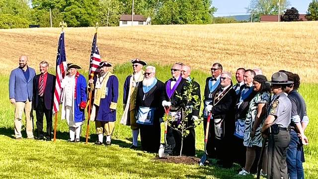 Union County Liberty Tree