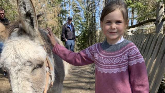 Jente klapper et esel på "The Funny Farm"