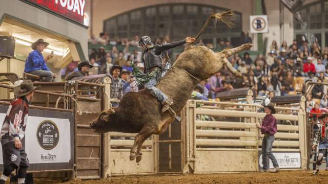 Image of a bull rider riding in Cowtown Coliseum
