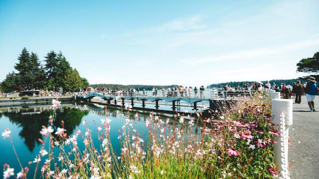 People walking on a bridge over water with pink flowers leading towards the bridge.