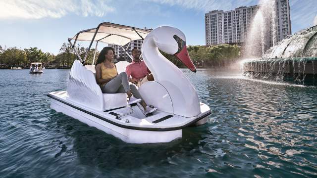 A couple exploring Lake Eola on a swan boat