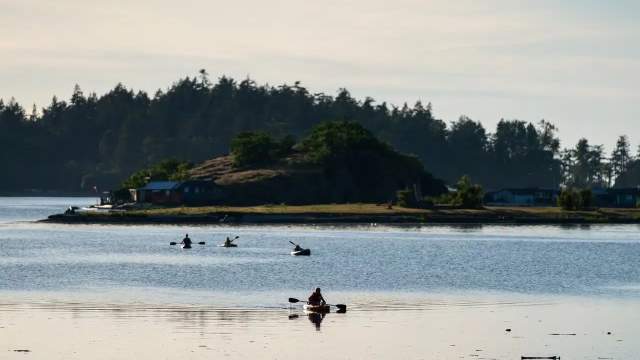 People kayaking on the water.