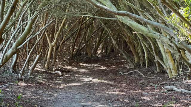 Rackliffe House Trail - Berlin, MD