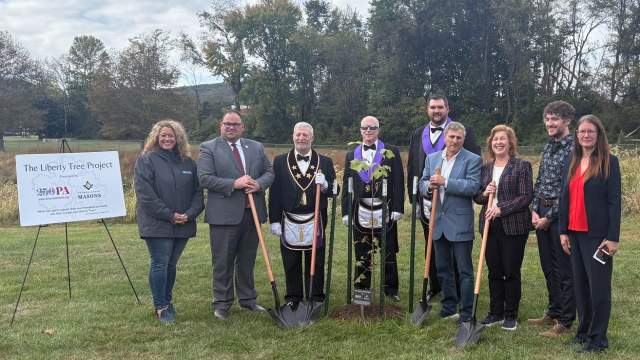Northumberland County Liberty Tree