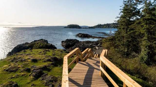 A wooden path leading towards the ocean.
