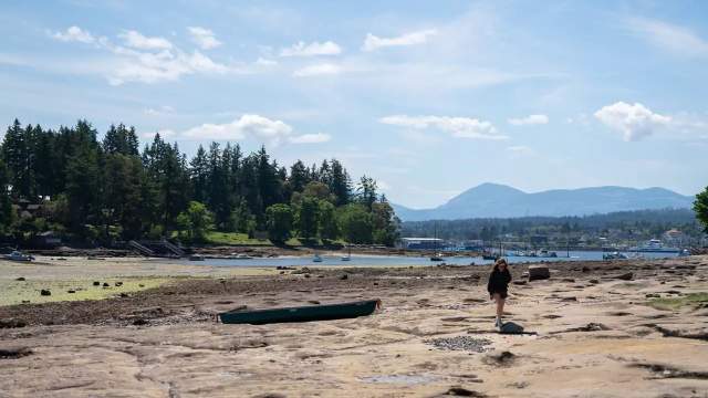 A person walking on a beach at low tide.