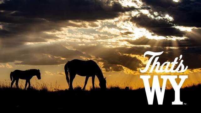 Wild Horses of Pilot Butte at Sunset