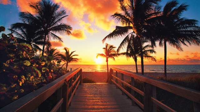 Pier with palm trees at sunset