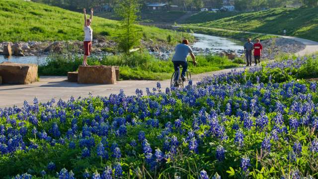 People biking and walking among bluebonnets