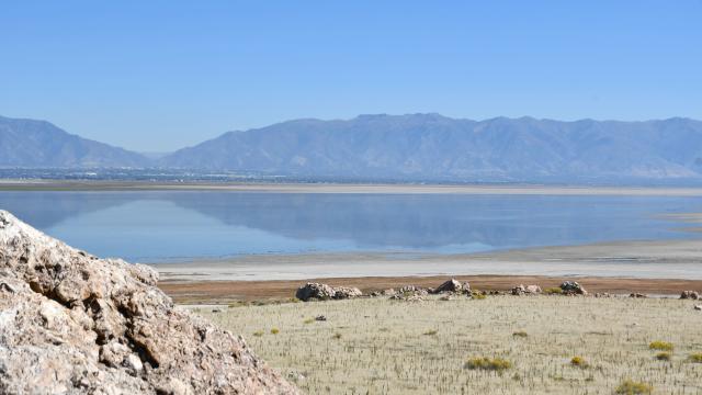 Shoreline of Great Salt Lake from Antelope Island State Park.