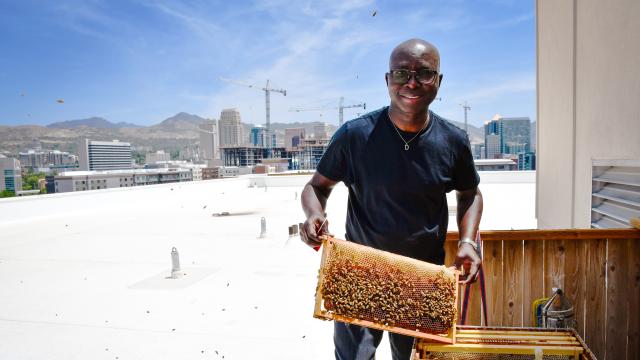 Adesina Daniel Oduntan - Bee-Craft Consult