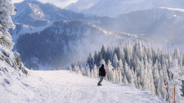 Snowboarder going down the Great Western at Brighton Resort, UT.