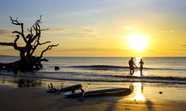 Driftwood Beach on Jekyll Island