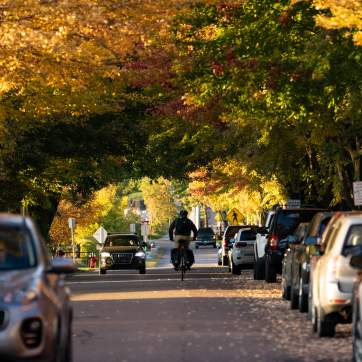 Lake Street in the Fall