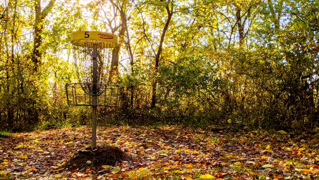 Disc Golf at Granger Meadows Park