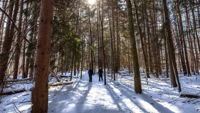 Two people snowshoeing