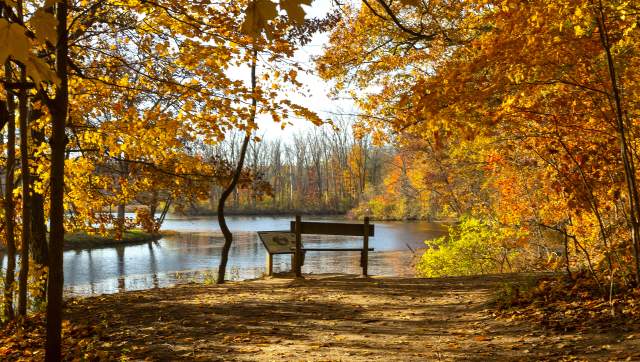 Golden leaves with a bench and a view of the Grand River