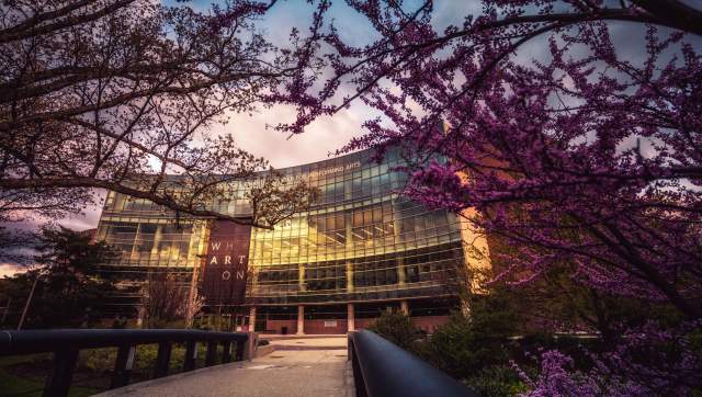 Wharton Center with Japanese Rosebud Trees