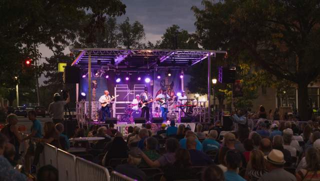 A blues band performing on an outdoor stage at Michigan BluesFest, with guitars, drums, and a cheering crowd.