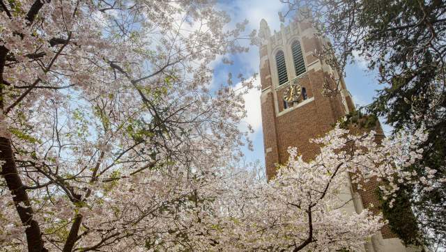 Beaumont Tower in Spring Blooms