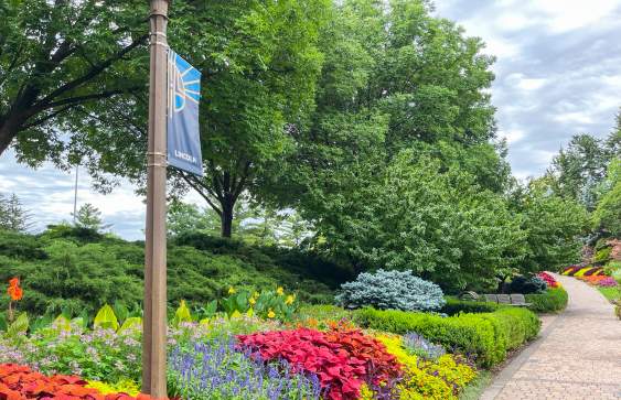 Sunken Gardens