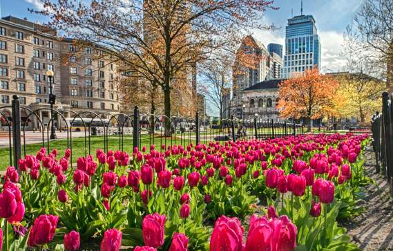 Copley Square in Spring