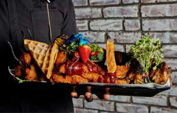 Culinary - ZAZ