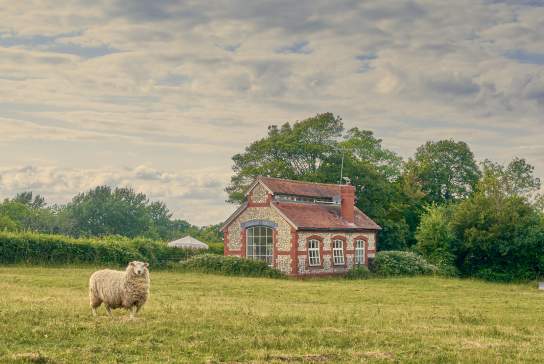 Luxury holiday homes in Sussex