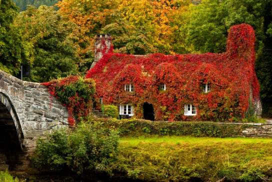 An old stone bridge and house covered in ivy