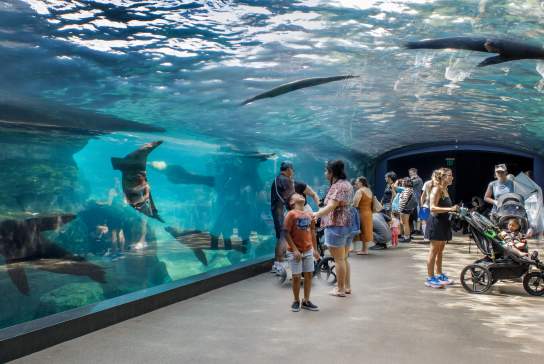 Vacaciones familiares de verano en Houston