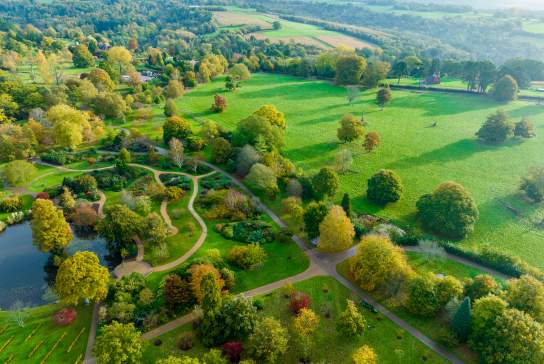 Aerial view of trees, gardens and paths at the Asian garden at Wakehurst, Sussex