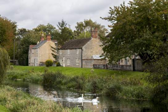 Market Deeping River with Swans and houses in background
