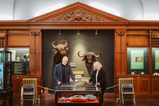 A man and woman looking in a display cabinet in an ornate room.