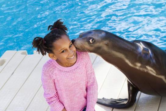 Seal With Girl