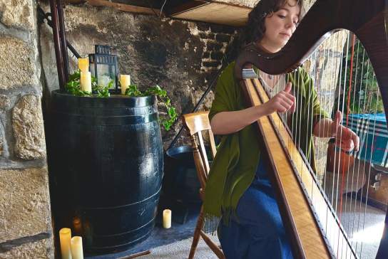 Local harpist and storyteller Lisa Dawson of Songs & Stories Of Carrickfergus.